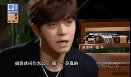 韩甜爆料罗志祥的视频,真相与争议并存